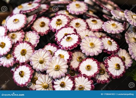 flowers hungary.